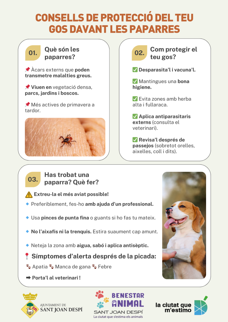 paparres gossos