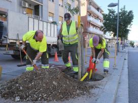 L’Ajuntament inicia un pla de renovació i replantació d’arbrat i zones verdes adaptat a la situació climàtica actual