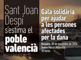 Cartell Gala Solidaria Dana