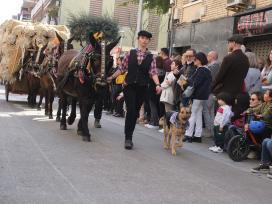 Festa Tres Tombs 2024