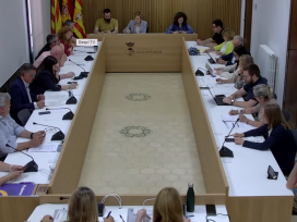 Ple municipal maig 2025