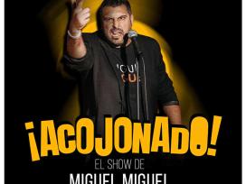 Comèdia amb Miguel Miguel