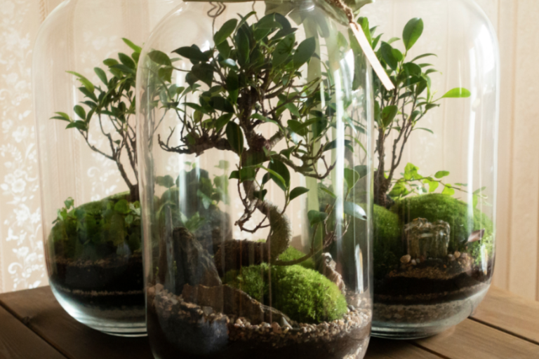 Taller jove: Mini jardí