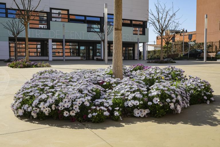 Sant Joan Despí ha rebut el reconeixement ‘Viles Florides’ per la qualitat dels seus espais verds