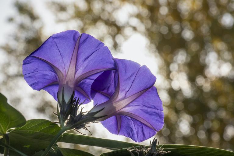 Exposició: 'Fotografia de natura'