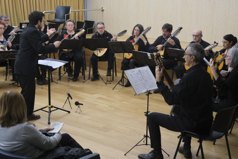 Concert de Nadal, de corda polsada