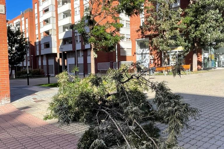 Incidencies ventades 2026 8