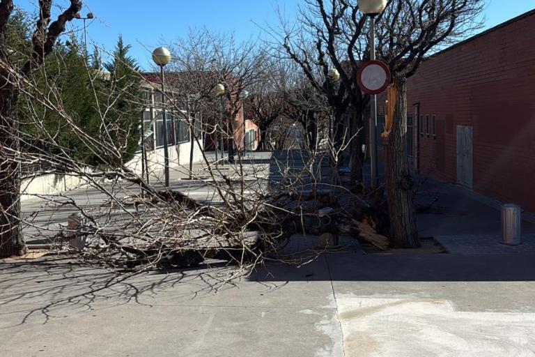 Incidencies ventades 2026 6