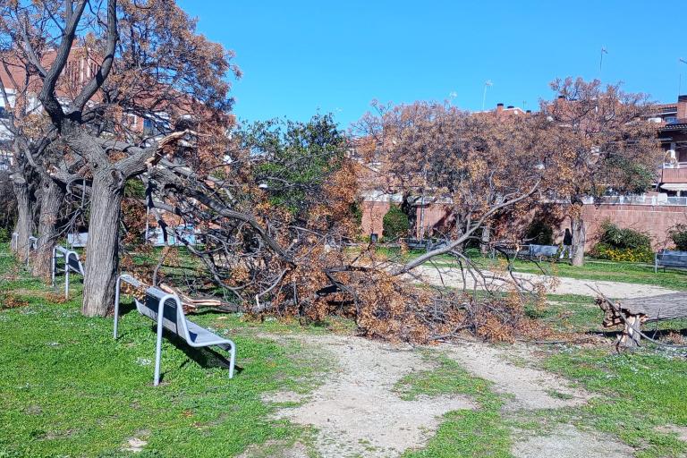 Incidencies ventades 2026 2