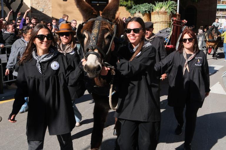 Exposició dels Tres Tombs