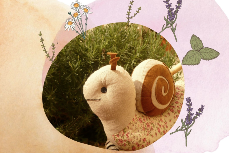 El cargol Pol i el poniol