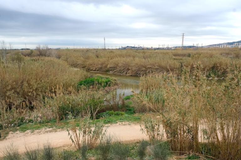 Aquest mes d’octubre s’inicien les obres per a l’arranjament del front fluvial del riu Llobregat a Sant Joan Despí