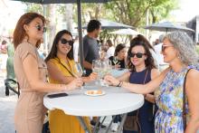 Mostra de vins- Firavins