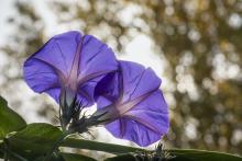 Exposició: 'Fotografia de natura'