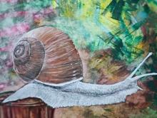 Exposició Toni Carrasco