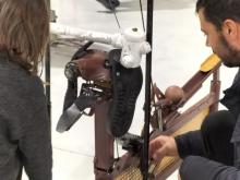 Espai de jocs animalada