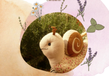 El cargol Pol i el poniol