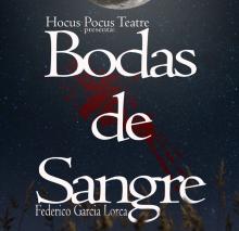 Teatre adult: 'Bodas de sangre'