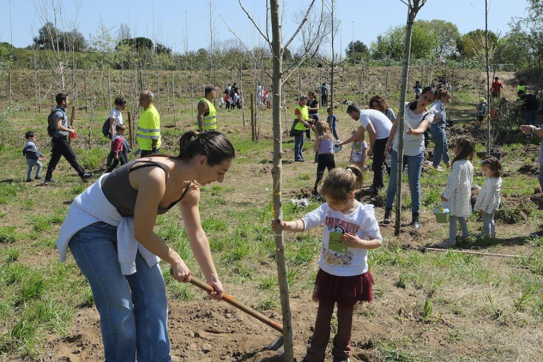 El Bosc dels Infants s'amplia amb una plantada massiva d'arbres