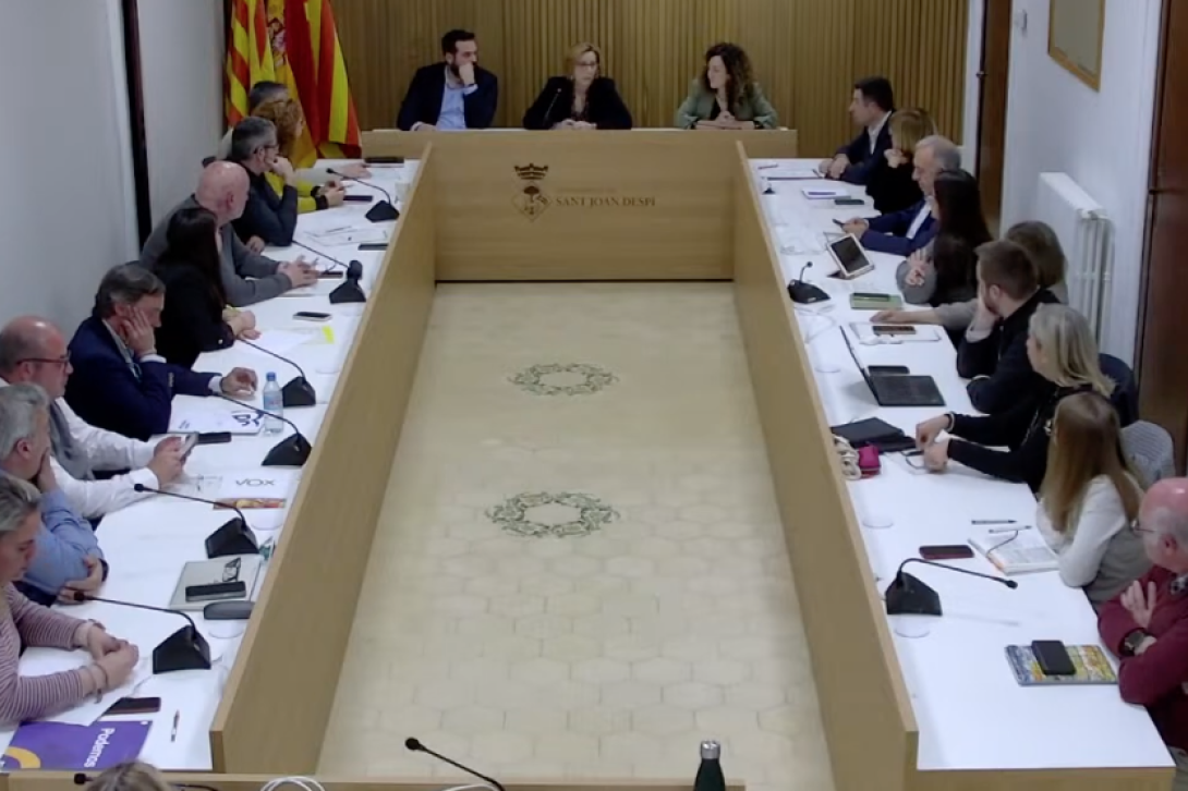 Ple març 2025