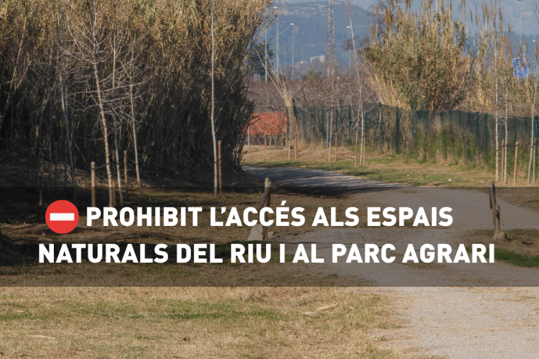 Prohibit l'accés als espais naturals del riu i al Parc Agrari per prevenir la propagació de la pesta porcina