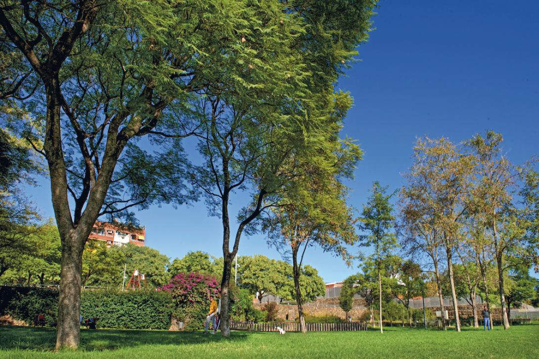 Un nou Pacte pel Civisme implicarà a tota la ciutadania